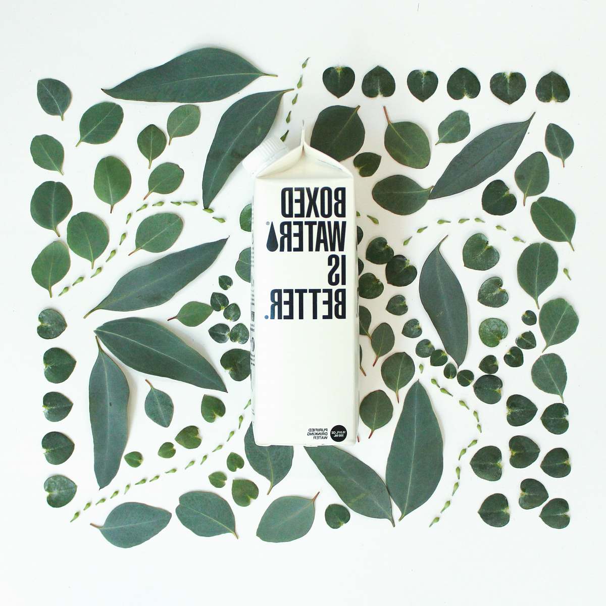 plant Boxed Water carton next to intricately arranged green leaves art